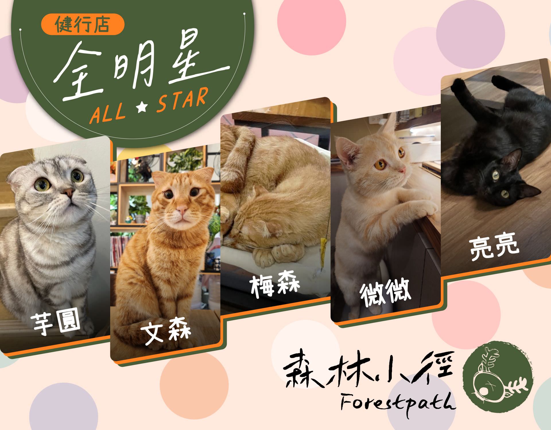 森林小徑餐廳健行店明星